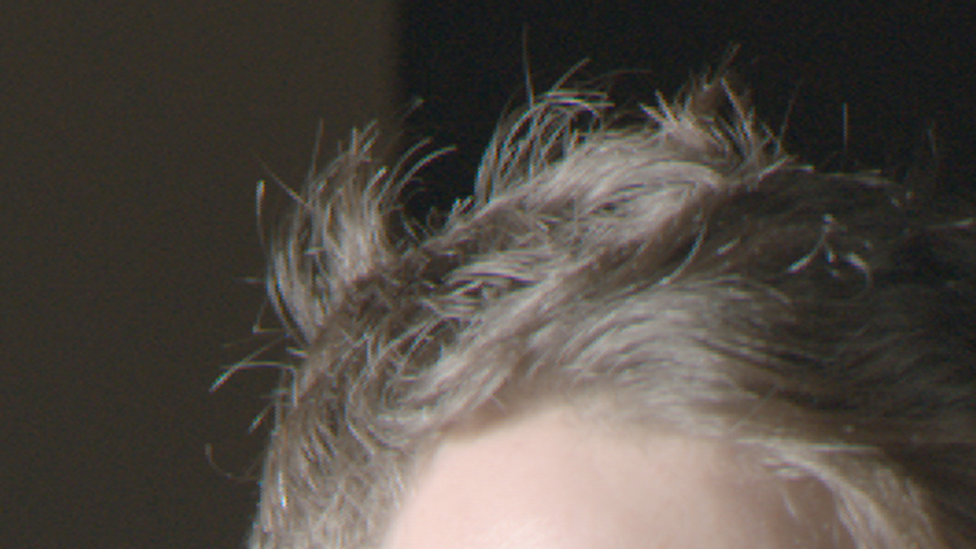 alexahair.jpg