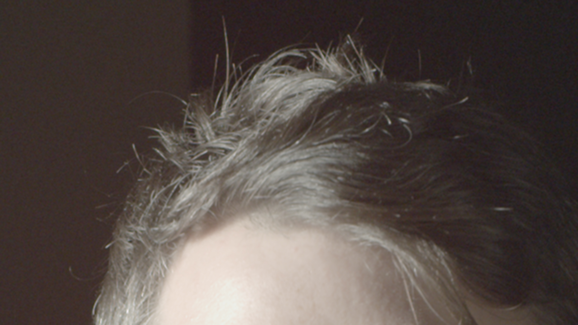 dragonhair.jpg