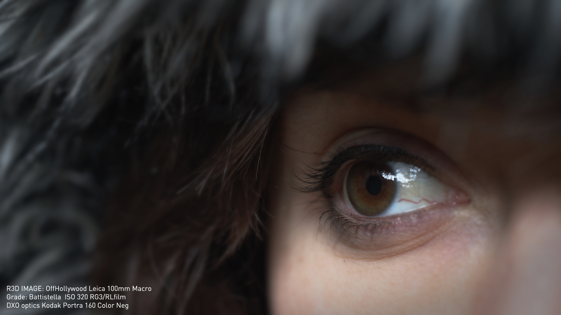 eye.jpg
